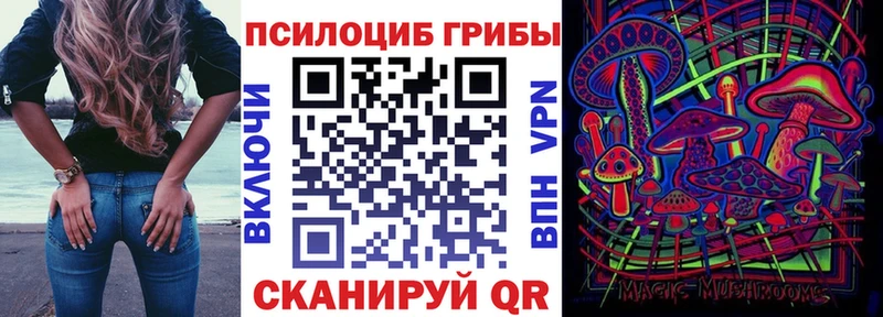 Псилоцибиновые грибы MAGIC MUSHROOMS Купить Славск
